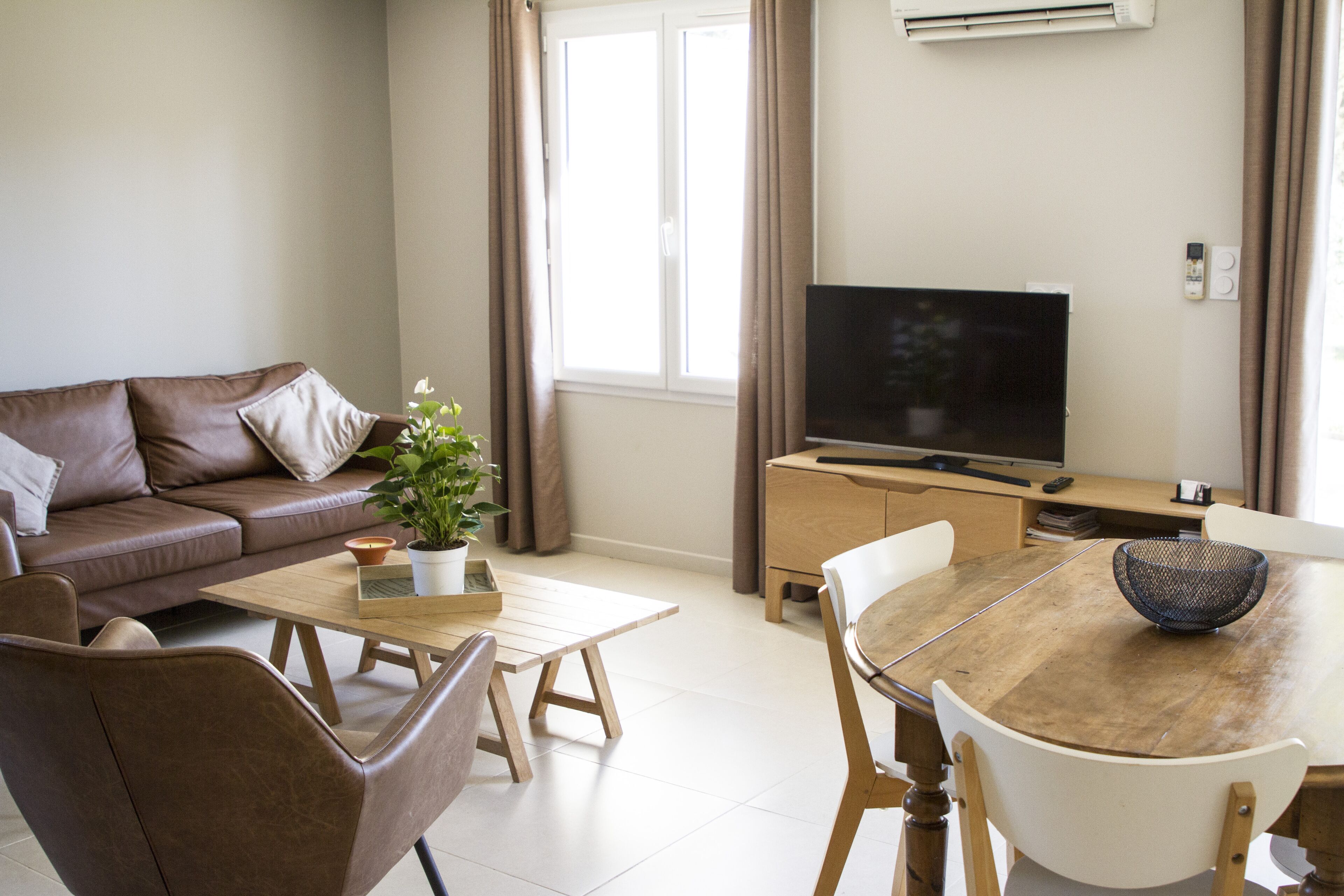 TV, DVD player, books, video library