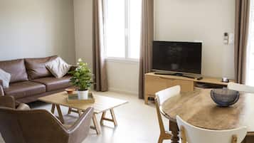 TV, DVD player, books, video library