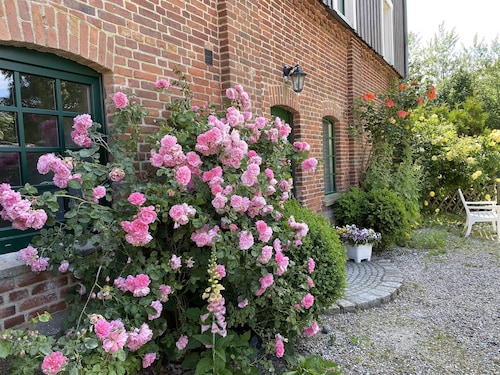 Vacation home 16 pers. 8 bedrooms 4 bathrooms near Kappeln/Schlei /Ostsee from 2 nights 