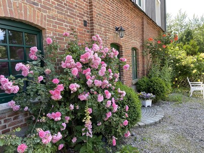 Vacation home 16 pers. 8 bedrooms 4 bathrooms near Kappeln/Schlei /Ostsee from 2 nights