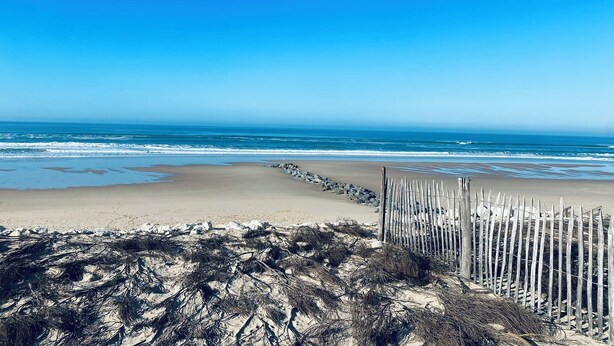 A beach with a wooden fence and seaweed-covered sand. - Apartment between the Atlantic Ocean, vineyards and "Mirabelle" pine forests (Brach)