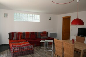 Televisión, chimenea y libros 