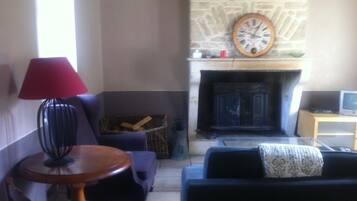 Télévision, cheminée, lecteur de DVD, livres