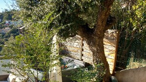 A garden with a tree, a stone wall, and a wooden bench. - wonderful allround view  on S. Tropez bay (Roquebrune-Sur-Argens)