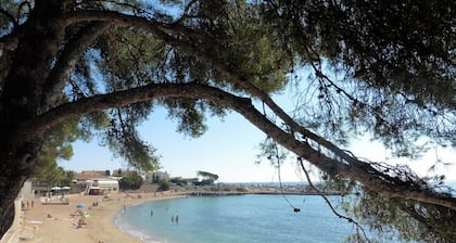 wonderful allround view on S. Tropez bay