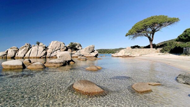 A beach with clear water, large rocks, and a tree. - 100m from downtown and the stores, 300m from the beach and the marina (Porto-Vecchio)