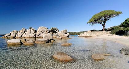 100 m du centre ville, appartement lumineux avec parking privé et vue sur la mer