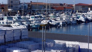 A marina with numerous boats docked, surrounded by buildings with red-tiled roofs. - For rent; villa in the center of a resort, quiet area in Valras Beach (Valras-Plage)