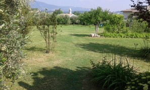 Property grounds - Detached summer cottage (Pesina)