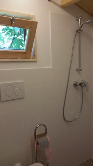 Douche, séchoir à cheveux, serviettes fournies, savon