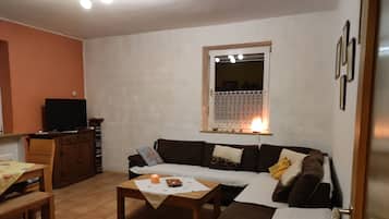 TV, DVD player, books, music library