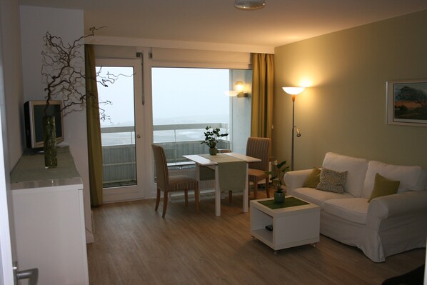 Flat-screen TV, ping pong, books, stereo