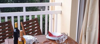 T2 apartment + 2 terraces + 1 private secure PARKING + WIFI + TV.