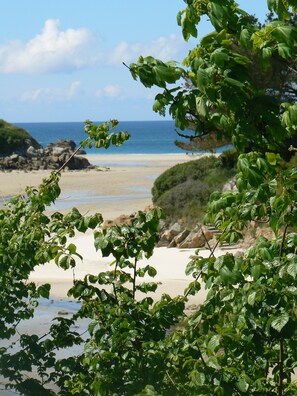 Een strand met heldere lucht en rustig water, omringd door groen.