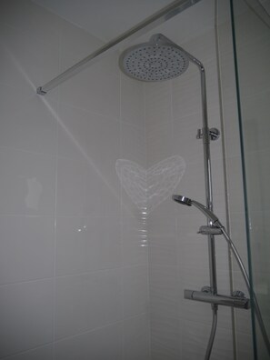Shower, hair dryer, towels, toilet paper