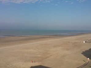 Una playa cerca