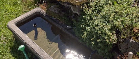 Parco della struttura