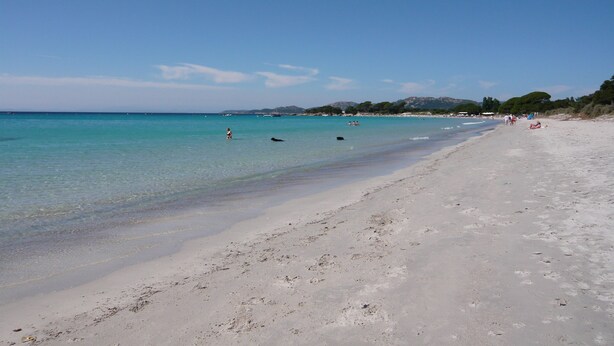 A beach with clear turquoise water, a sandy shore, and a few people in the distance.