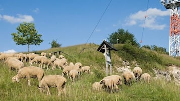 Sehenswürdigkeit