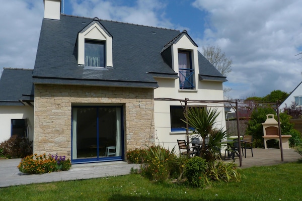 View from the garden