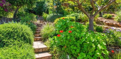 Typical white Andalusian house in the heart of PUEBLO, with swimming pool and jacuzzi