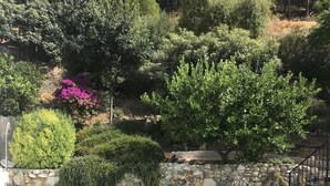 A poolside area with lounge chairs, a stone wall, and a variety of greenery. - Typical white Andalusian house in the heart of PUEBLO, with swimming pool and jacuzzi (Alhaurín el Grande)