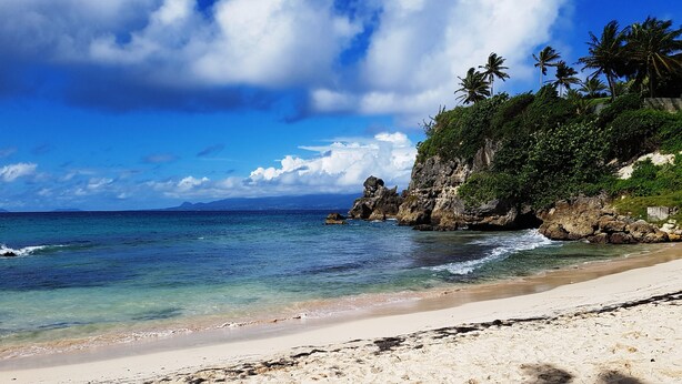 A beach with clear turquoise water, a sandy shore, and rocky cliffs with palm trees. - Unique in Guadeloupe: Villa 400 m from the beach with mango tree house (Le Gosier)