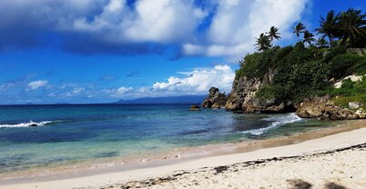 Unique in Guadeloupe: Villa 400 m from the beach with mango tree house