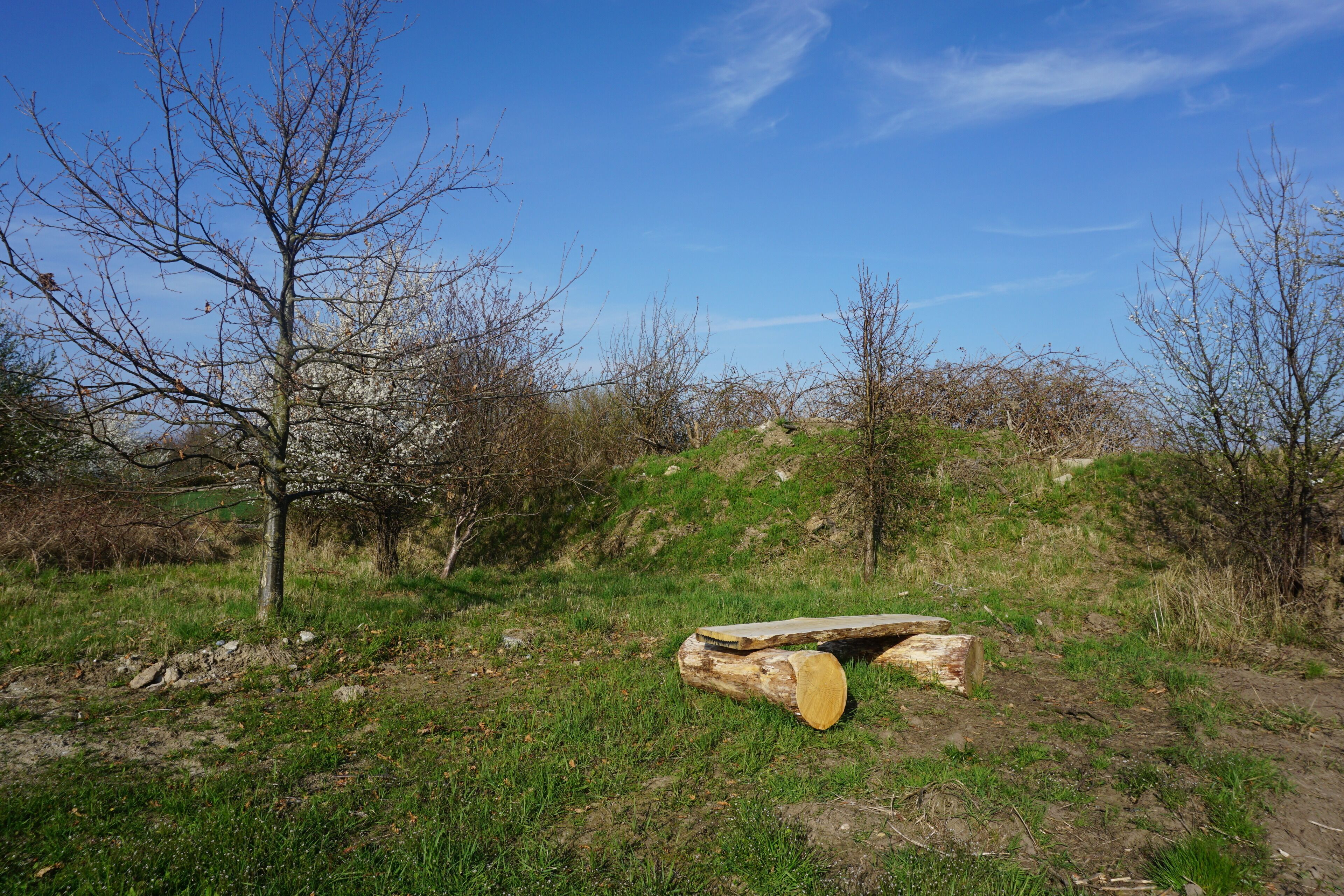 A natural landscape with a log and trees.
