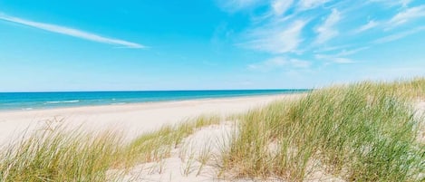 Beach nearby, sun loungers