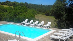 Ein rechteckiger Pool mit einer umlaufenden Steinterrasse.