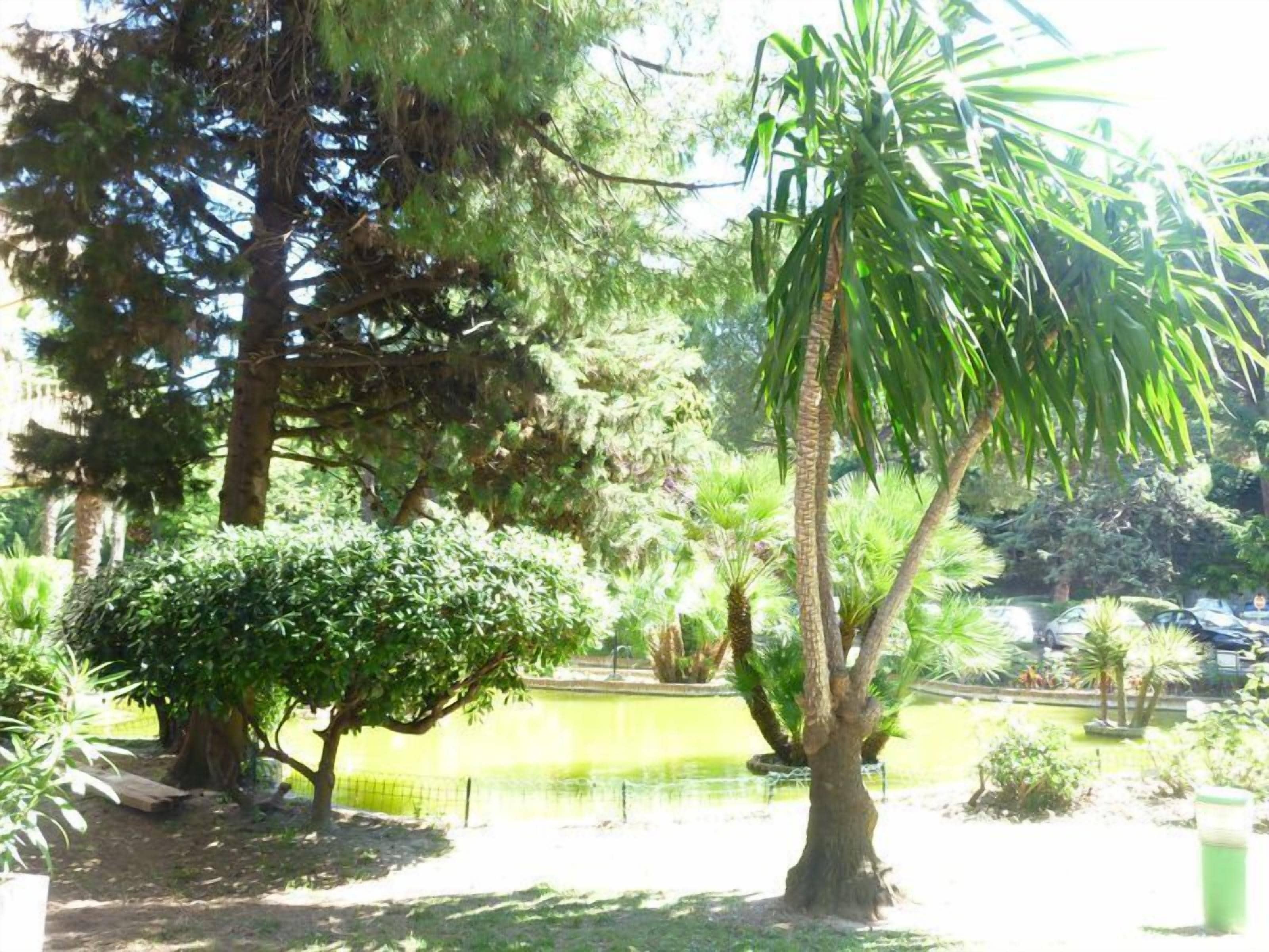 Parco della struttura