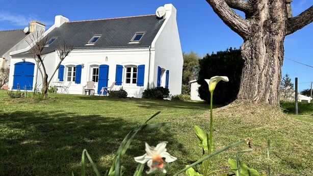Una casa blanca con contraventanas azules y un árbol grande en primer plano.
