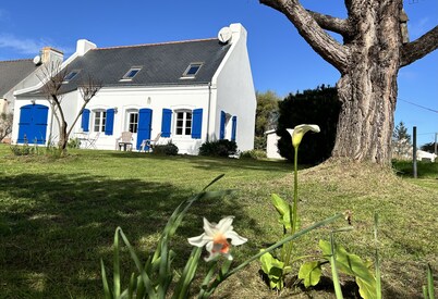 Independent Bellilois style house 2 to 8 people, near the sea.