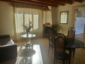 TV, fireplace, DVD player, books