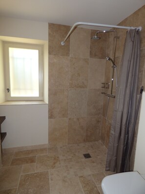 Shower, hair dryer, towels