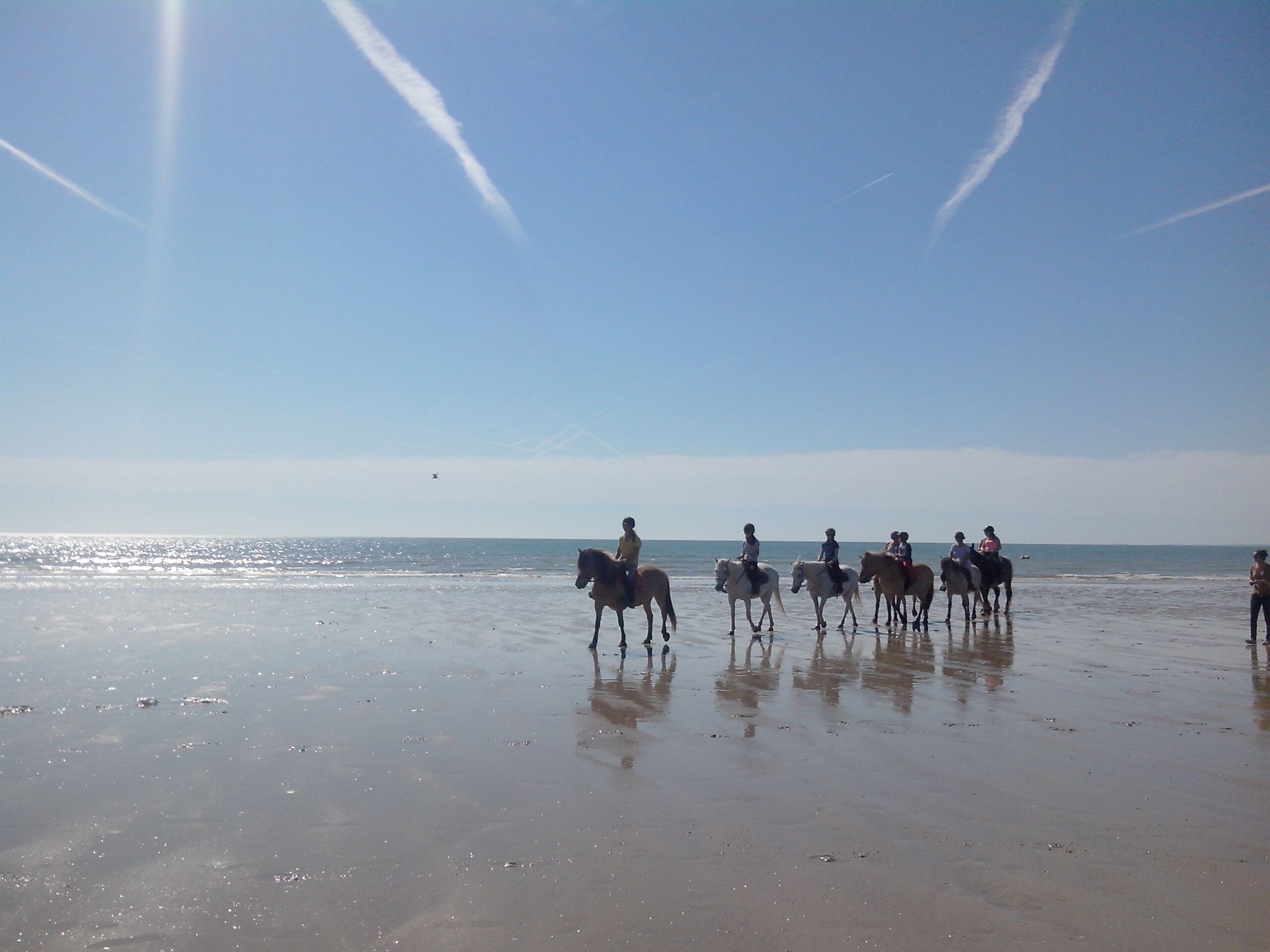 Una spiaggia con persone a cavallo.
