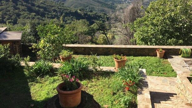 A garden with potted plants and a stone wall. - traditional stone village house (Olmeta-Di-Tuda)