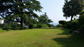 Un espace verdoyant bien entretenu, agrémenté de grands arbres et d’un banc en pierre.