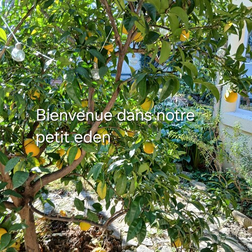 GRAND STUDIO CLIMATISE, INDEPENDANT DANS VILLA AVEC JARDIN, Tranquility assured