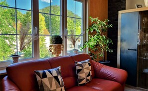 Smart-TV, DVD-Player, Bücher, Musikbibliothek