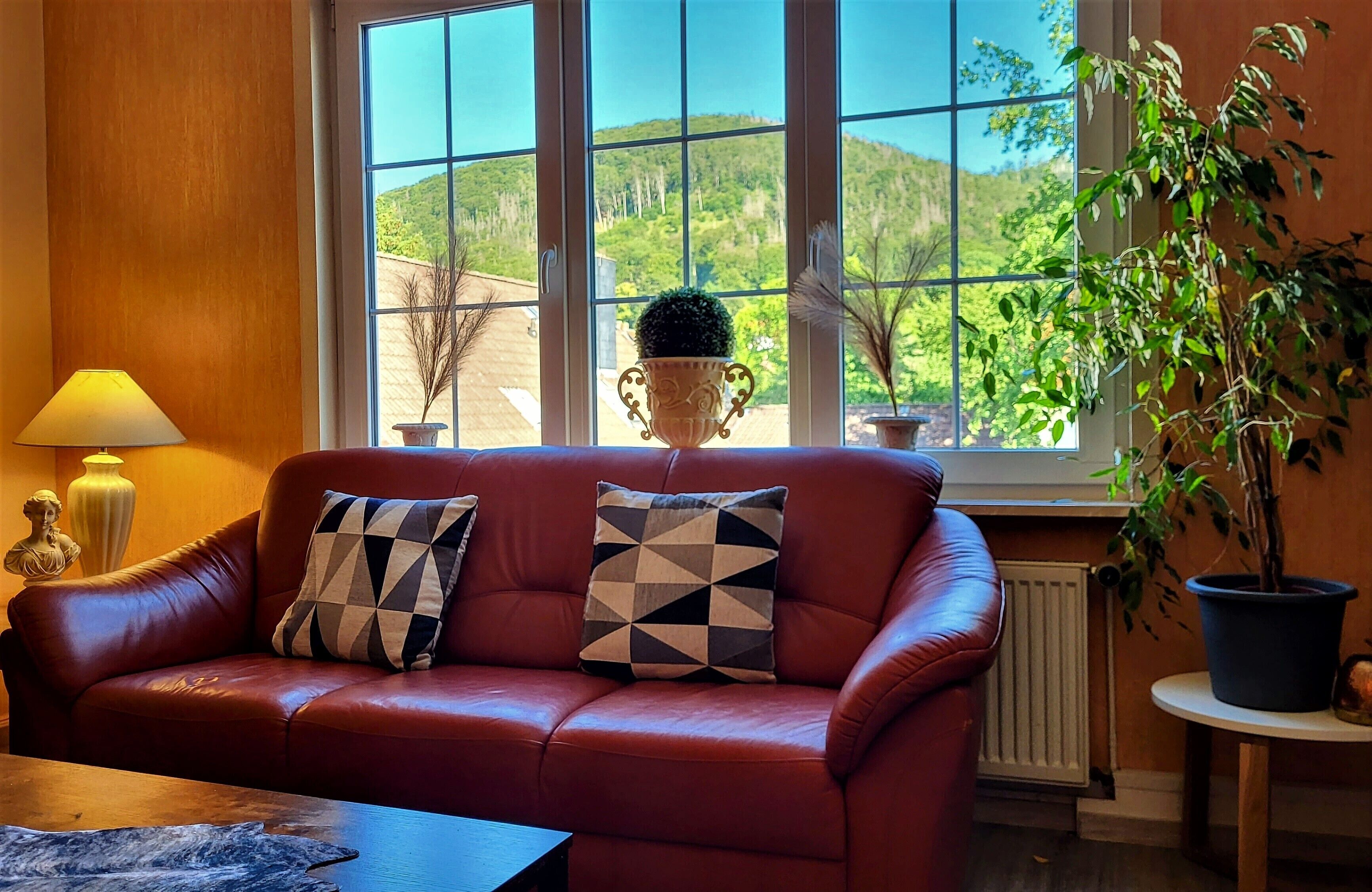 Smart TV, DVD player, books, music library