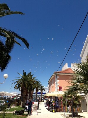 Exterior - Exclusive apartment140mq, family friendly, near the beach, parking, wi-fi  (Biograd na moru)