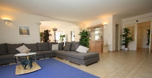 TV, caminetto, libri, impianto stereo