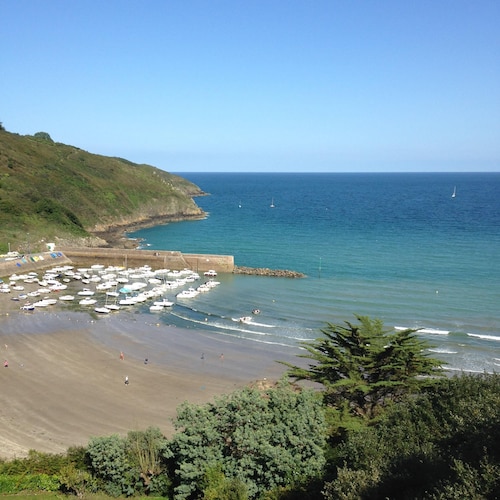 LOCATION SAISONNIERE  PLUDUAL CÔTES  D'ARMOR  ANIMAUX ACCEPTES