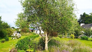 Een tuin met verschillende planten en een boom.