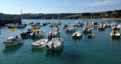 LOCATION SAISONNIERE PLUDUAL CĂTES D'ARMOR ANIMAUX ACCEPTES