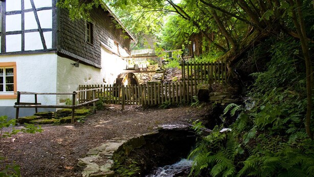 Un pont de pierre rustique enjambe un ruisseau, entouré d’une végétation luxuriante et d’une clôture en bois.