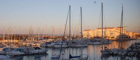 Marina