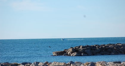 VUE IMPRENABLE SUR LE PORT DE PLAISANCE - MER 50 M